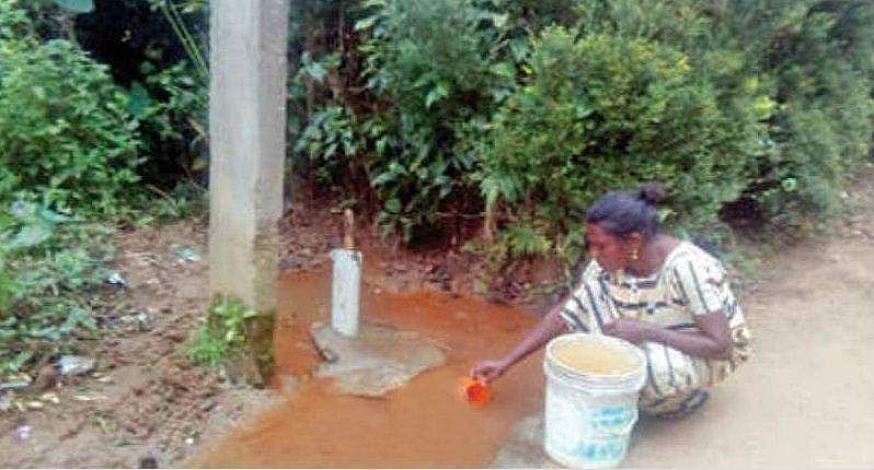 പൊതുടാപ്പ് സാമൂഹിക വിരുദ്ധർ നശിപ്പിച്ചു; പൊട്ടിയൊഴുകുന്ന ചെളിവെള്ളം കോരിയെടുത്ത് ആദിവാസി കോളനിവാസികൾ