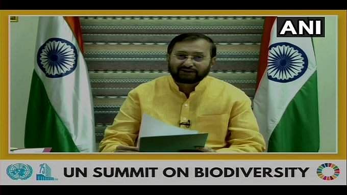 'കോവിഡിന് ഇടയാക്കിയത് തെറ്റായ ഭക്ഷണവും പ്രകൃതി ചൂഷണവും'- പ്രകാശ് ജാവഡേക്കര്‍