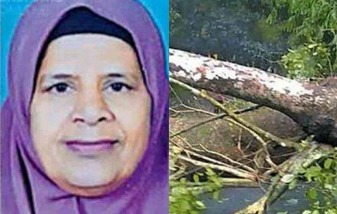 മരം വീണ് റോഡ് തടസപ്പെട്ടു, 15 മിനിറ്റ് ​ഗതാ​ഗതക്കുരുക്കിൽ; ആംബുലൻസിൽ രോ​ഗി മരിച്ചു
