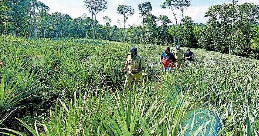 'അച്ഛാ ഞാന്‍ ട്രിപ്പിലാണ്', റബര്‍ തോട്ടത്തിലെ കൈതക്കാട്ടില്‍ ഒളിച്ചിരുന്ന മകന്റെ ഫോണ്‍വിളി ; 25 മണിക്കൂര്‍ നീണ്ട തിരച്ചില്‍ ; രണ്ടു പ്രതികള്‍ പിടിയില്‍ 