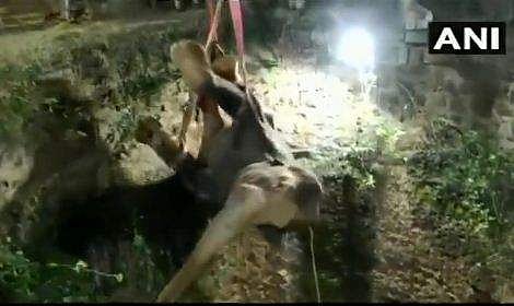 നൂറടി താഴ്ചയുള്ള കിണറില്‍ 16 മണിക്കൂര്‍, കുട്ടിക്കുറുമ്പി ഒടുവില്‍ കയറില്‍ തൂങ്ങി പുറത്തേയ്ക്ക് (വീഡിയോ)