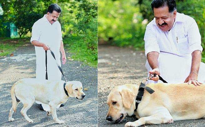 'കാഴ്ച ശക്തിയില്ലെന്ന് അറിഞ്ഞപ്പോൾ ആദ്യം വിഷമമായി, പിന്നീട് കൂടുതൽ സ്നേഹത്തോടെ ചേർത്തുപിടിച്ചു'; വളർത്തുനായയെക്കുറിച്ച് ചെന്നിത്തല