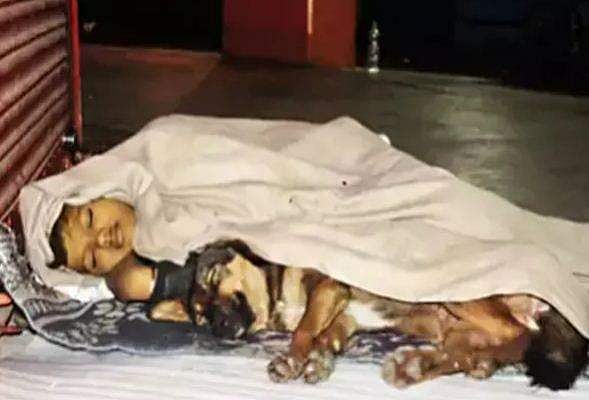അച്ഛന്‍ ജയിലില്‍, അമ്മ ഉപേക്ഷിച്ചു, വീട് നഷ്ടപ്പെട്ട ബാലന്‍ തെരുവില്‍; അന്തിയുറങ്ങുന്നത് മരം കോച്ചുന്ന തണുപ്പില്‍ പട്ടിയ്‌ക്കൊപ്പം 
