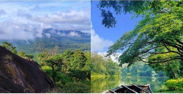 കാടിനെ അറിയാൻ കുടുംബശ്രീയുടെ 'കുട്ടമ്പുഴ ജംഗിൾ സഫാരി'