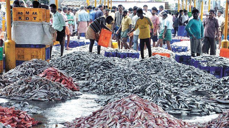 വീടുകള് കയറിയുള്ള കച്ചവടം വേണ്ട; കൊല്ലത്ത് മത്സ്യവില്പ്പനയ്ക്ക് നിരോധനം