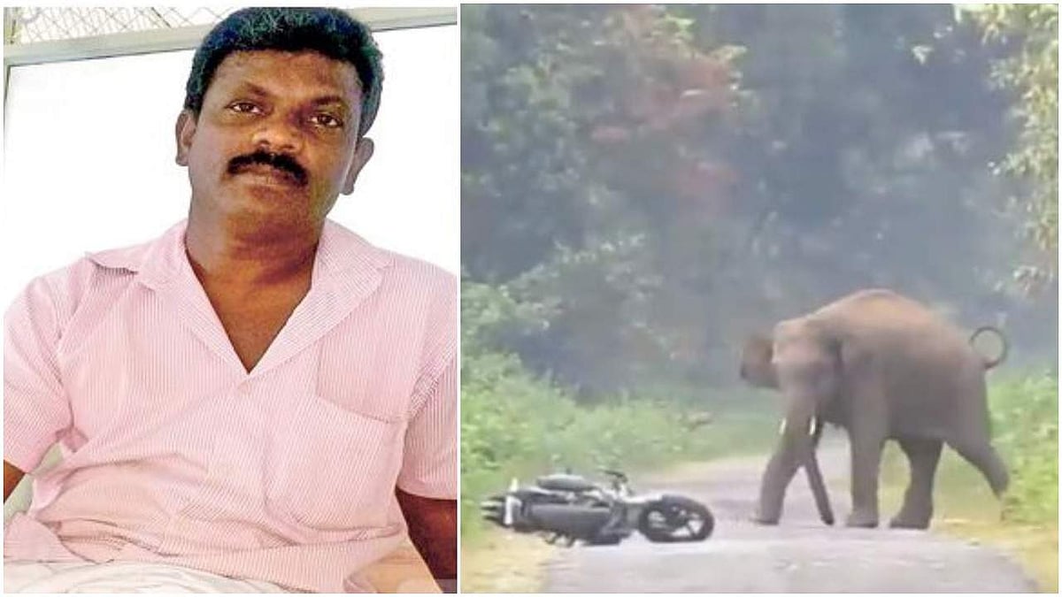 ബൈക്ക് യാത്രികനെ ആന അടിച്ചുവീഴ്ത്തി; രക്ഷപ്പെട്ടത് തലനാരിഴയ്ക്ക്