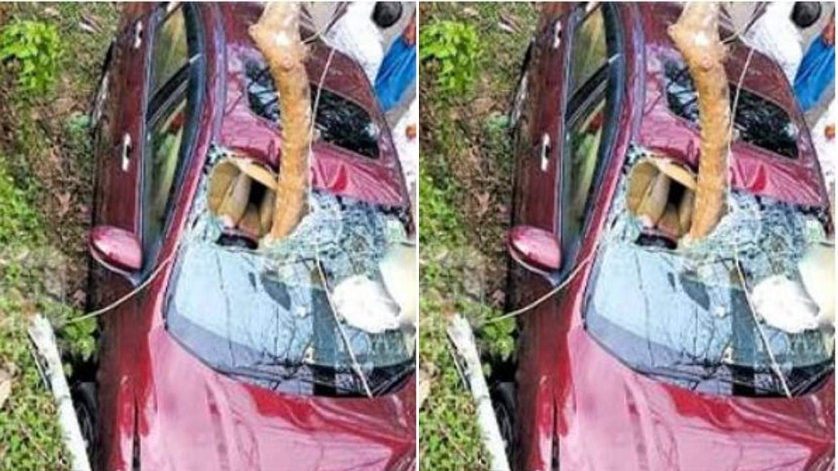 ഓടിക്കൊണ്ടിരുന്ന കാറിന്റെ ഗ്ലാസ് തുളച്ച് മരക്കൊമ്പ് സീറ്റില് കുത്തിക്കയറി; കാറുടമ അത്ഭുതരമായി രക്ഷപ്പെട്ടു