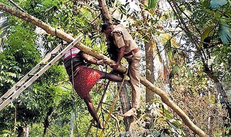 കൊമ്പുമുറിക്കാന്‍ കയറിയ ആളിന്റെ കാല്‍ മരങ്ങള്‍ക്കിടയില്‍ കുടുങ്ങി; ഒരു മണിക്കൂറിന് ശേഷം രക്ഷ