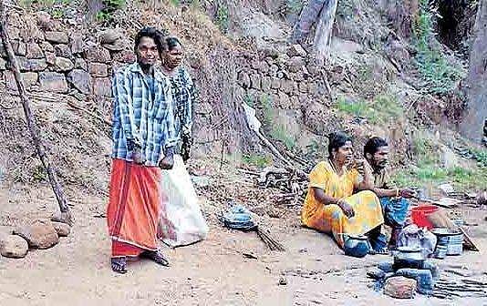 വെള്ളം തേടി വലഞ്ഞ് മടുത്തു; പമ്പാനദി തീരത്ത് ഷെഡ്ഡുകെട്ടി താമസമാക്കി ഏഴംഗ കുടുംബം