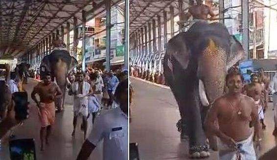 ഗുരുവായൂർ ആനയോട്ടത്തിൽ ​ഗോപീകണ്ണൻ ഒന്നാമൻ; ജേതാവാകുന്നത് തുടർച്ചയായി എട്ടാം തവണ (വീഡിയോ)