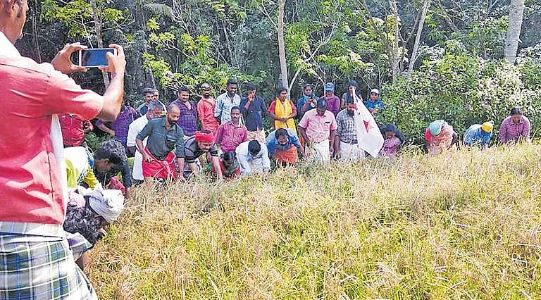 ലോക്ക്ഡൗണിനിടെ ഡിവൈഎഫ്ഐയുടെ കൊയ്ത്തുത്സവം; പത്തു പേർ അറസ്റ്റിൽ