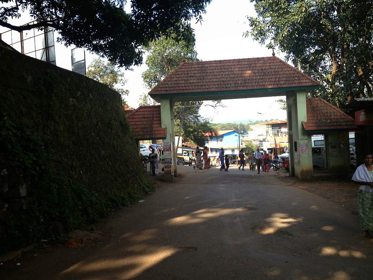 വയനാട് ജില്ലയും കോവിഡ് മുക്തം; അവസാന രോഗിയുടെയും പരിശോധനാ ഫലം നെഗറ്റീവ് 