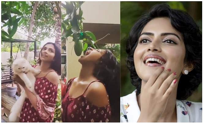 'ഒരു ചാറ്റല്‍മഴ പേയ്തപ്പോ നിനക്ക് ഭ്രാന്തായോ അമലേ', തുള്ളിച്ചാടി താരം; വിഡിയോ 