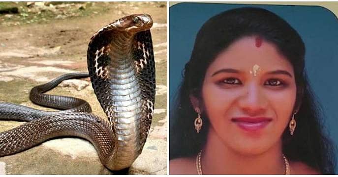 ജനാലയും വാതിലും അടച്ചിട്ടിരുന്ന എ സി മുറിയില്‍ എങ്ങനെ വിഷപ്പാമ്പ് കയറി ? ; സൂരജിന് പാമ്പുപിടുത്തക്കാരുമായി ബന്ധം, ഉത്രയുടെ മരണത്തില്‍ ദുരൂഹത, പരാതി