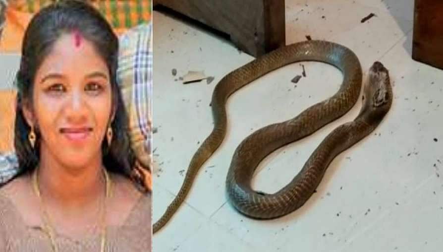 സൂരജ് പതിനായിരം രൂപയ്ക്ക് പാമ്പിനെ വിലയ്ക്കു വാങ്ങി ?; ഉത്രയുടെ മരണത്തില്‍ ഭര്‍ത്താവ് അടക്കം നാലുപേര്‍ പൊലീസ് കസ്റ്റഡിയില്‍