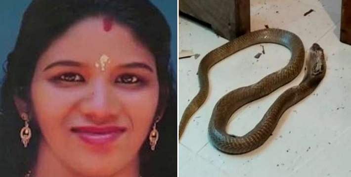 സൂരജ് പാമ്പുപിടുത്തക്കാരുമായി നിരന്തരം ബന്ധപ്പെട്ടിരുന്നതിന്റെ തെളിവ് ലഭിച്ചു ? ; ഉത്രയുടെ മരണത്തില്‍ ഭര്‍ത്താവിനെ പൊലീസ് ചോദ്യം ചെയ്യുന്നു