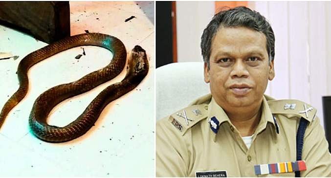 പാമ്പിന്റെ ഡിഎന്‍എ പരിശോധന നടത്തുമെന്ന് ഡിജിപി ; കുറ്റപത്രം 90 ദിവസത്തിനകം