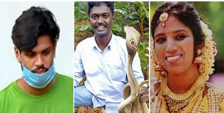 കള്ളമൊഴി പൊളിച്ചത് വാവ സുരേഷ് ; ആറുമാസത്തോളം യൂട്യൂബ് പഠനവും പ്രാക്ടിക്കലും ; ഉത്ര കൊലപാതകത്തില്‍ സൂരജ് കുരുങ്ങിയത് ഇങ്ങനെ