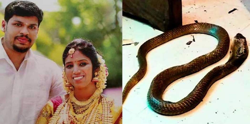 'എന്തിനാണ് പേടിക്കുന്നതെന്ന് ചോദിച്ചപ്പോൾ ഉത്രയെ കൊലപ്പെടുത്തിയെന്ന് സൂരജ് പറഞ്ഞു'; സുഹൃത്തിന്റെ മൊഴി