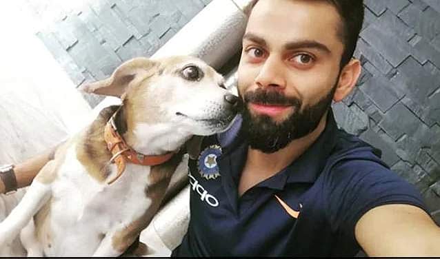 11 വര്‍ഷം സ്‌നേഹം നിറച്ച്‌ നീ ഞങ്ങള്‍ക്കൊപ്പം നിന്നു, ബ്രൂണോയ്‌ക്ക്‌ യാത്രാമൊഴിയുമായി കോഹ്‌ലി
