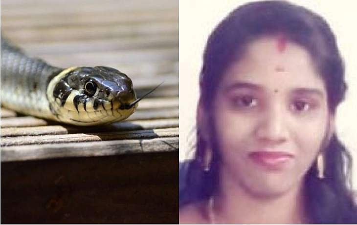 'അണലി കാലിന് മുകളില്‍ കടിക്കില്ല'; സൂരജിനെതിരെ ഡോക്ടറുടെ മൊഴി നിര്‍ണായക തെളിവ്