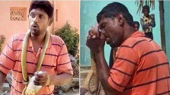 മദ്യ ലഹരിയില്‍ പാമ്പിനെ കടിച്ചു കൊന്ന് കഷ്ണങ്ങളാക്കിയ സംഭവം; യുവാവിനെ വനപാലകർ പൊക്കി; കേസ്