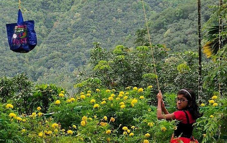 പഠിക്കണമെങ്കിൽ മൊബൈൽ പ്ലാവിൽ കെട്ടിത്തൂക്കണം; അച്ഛന്റെ ബുദ്ധിയിൽ മകളുടെ പഠനം; വിഡിയോ
