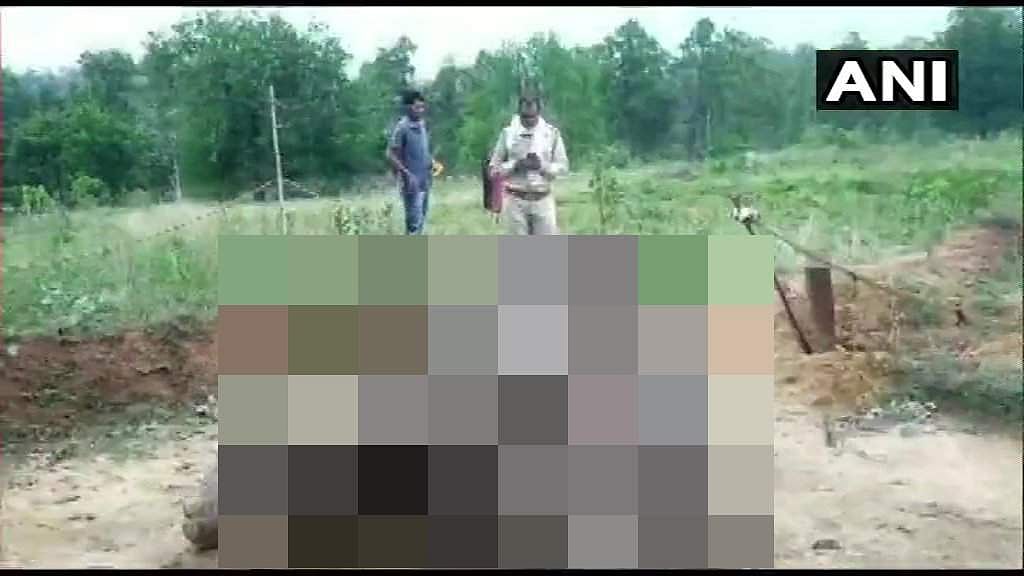 ചത്തീസ്​ഗഢിൽ ഒറ്റ ദിവസം ചരിഞ്ഞത് രണ്ട് കാട്ടാനകൾ; ഈ ആഴ്ച ഇത് അഞ്ചാമത്തേത്; രണ്ട് പേർ അറസ്റ്റിൽ