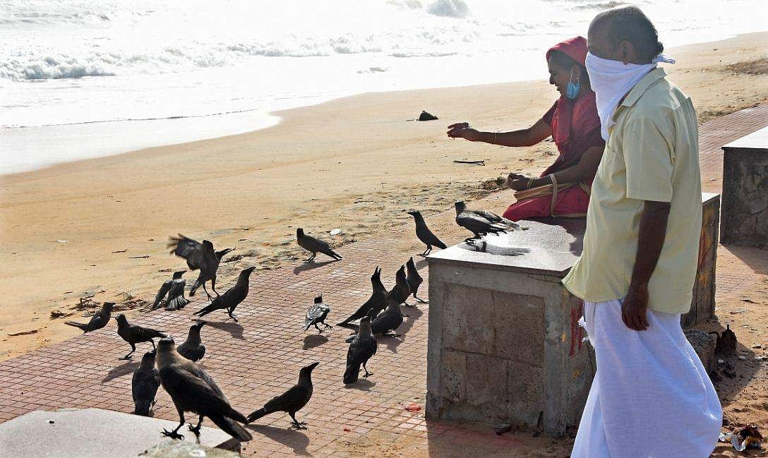 വിദേശത്ത് നിന്ന് വരുന്നവരില്‍ 1.5 ശതമാനം കോവിഡ് രോഗികള്‍, റെഡ് സോണുകളില്‍ നിന്ന് എത്തുന്നവരില്‍ 0.22 ശതമാനം മാത്രം; കണക്കുകള്‍