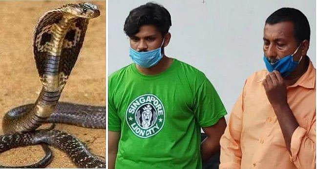 പാമ്പിന്‍കുഞ്ഞുങ്ങളെ നാവില്‍ കടിപ്പിക്കാന്‍ നല്‍കി, സുരേഷിന് ലഹരിമാഫിയയുമായി ബന്ധം ; സങ്കല്‍പ്പത്തിലെ ഭാര്യയാകാന്‍ ഉത്രയ്ക്ക് കഴിഞ്ഞില്ലെന്ന് സൂരജ്