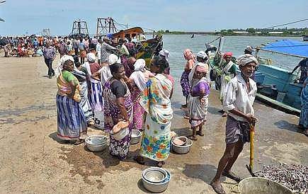കോവിഡ് ബാധിച്ച് മരിച്ചയാളുടെ ഭാര്യ ഹാര്ബറിലെ കച്ചവടക്കാരി; ശക്തന്കുളങ്ങര ഹാര്ബര് അടച്ചു