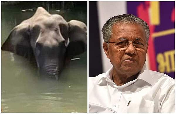 ആനയുടെ മരണത്തില്‍ ചിലര്‍ മതത്തേയും വലിച്ചിഴയ്ക്കുന്നെന്ന് മുഖ്യമന്ത്രി; മുറിവിന് രണ്ടാഴ്ച പഴക്കമെന്ന് പോസ്റ്റ്‌മോര്‍ട്ടം റിപ്പോര്‍ട്ട് 