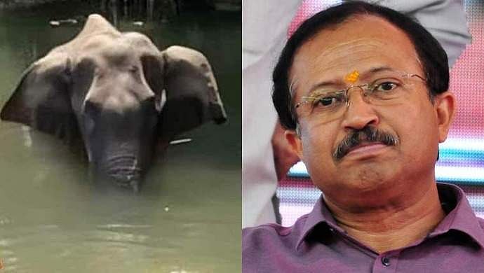 പാലക്കാടാണോ മലപ്പുറമാണോ എന്നത് പ്രസക്തമല്ല, ക്രൂരതയാണ് വിഷയം; ആന കൊല്ലപ്പെട്ട സംഭവത്തിന് വര്‍ഗീയ നിറം നല്‍കി എന്നത് കാണുന്നവന്റെ കണ്ണിലെ പ്രശ്‌നം: വി മുരളീധരന്‍