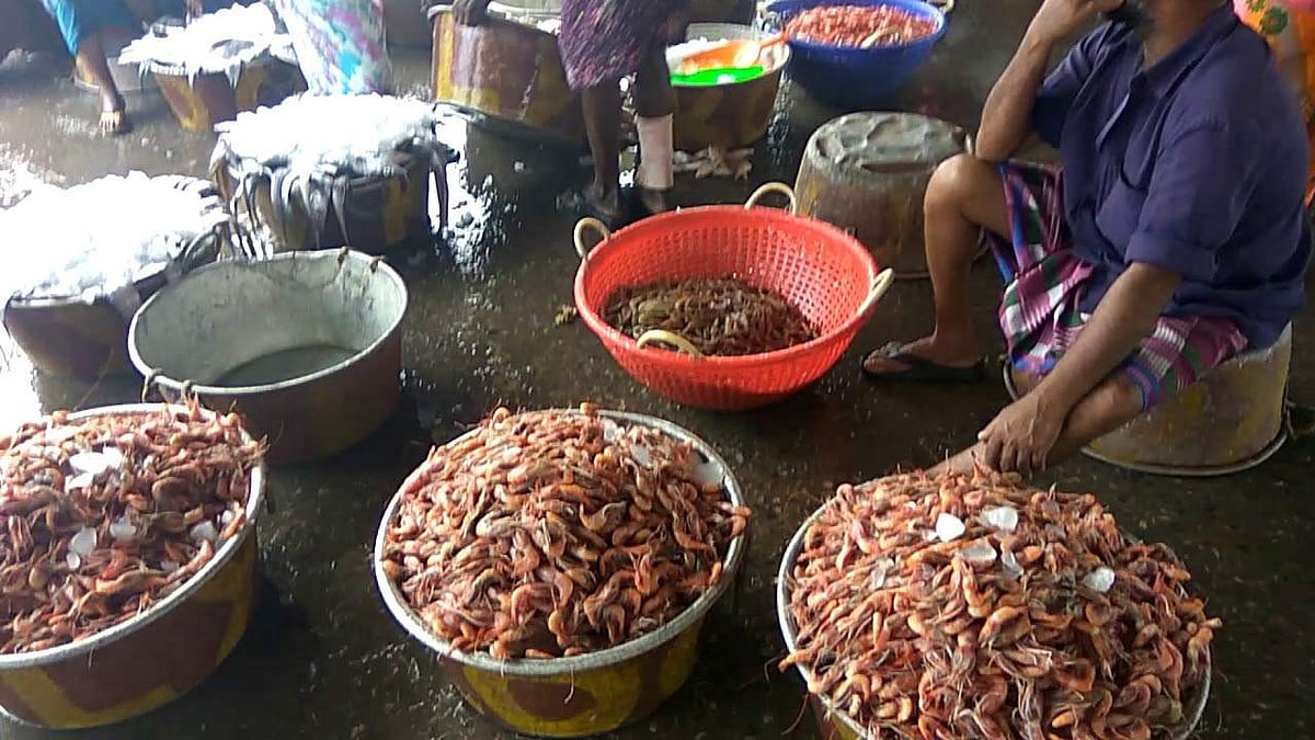 നീണ്ടകര മത്സ്യബന്ധന തുറമുഖം അടച്ചു