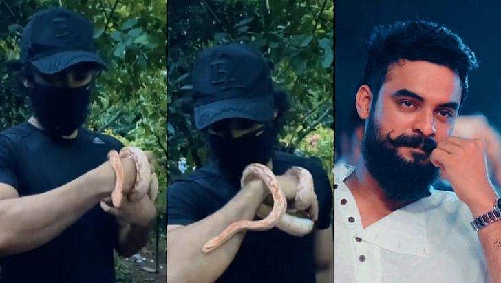 കയ്യിൽ ചുറ്റിവരിഞ്ഞ് പാമ്പ്, ലാളിച്ച് ടൊവിനോ; വിഡിയോ വൈറൽ
