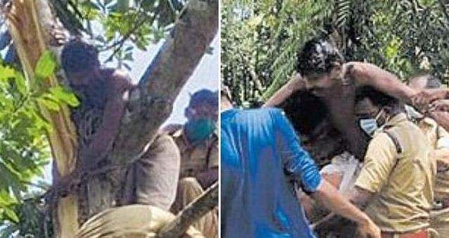 മരം വെട്ടുന്നതിന് ഇടയില്‍ നടുവെട്ടി, 40 മീറ്റര്‍ മുകളില്‍ കുടുങ്ങി കിടന്നത് മണിക്കൂറുകളോളം