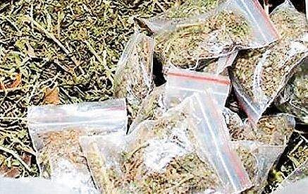 വീട്ടുകാരുമായി പിണങ്ങി താമസം; 5000 രൂപ പ്രതിഫലത്തിന് കഞ്ചാവ് കടത്തി പ്ലസ് ടു വിദ്യാര്‍ത്ഥിനി; പിടിയില്‍