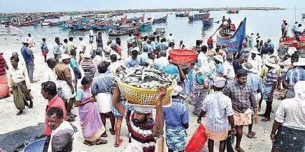 മത്സ്യതൊഴിലാളിയുടെ ഭാര്യയ്ക്ക് കോവിഡ്; ചൊല്ലാനം ഹാര്ബര് അടച്ചു