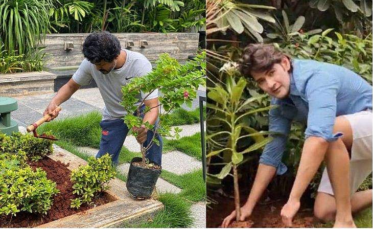 'ഇത് നിനക്കു വേണ്ടിയാണ്', മഹേഷ് ബാബുവിന് പിറന്നാൾ സമ്മാനമായി മരം നട്ട് വിജയ്; കയ്യടിച്ച് ആരാധകർ