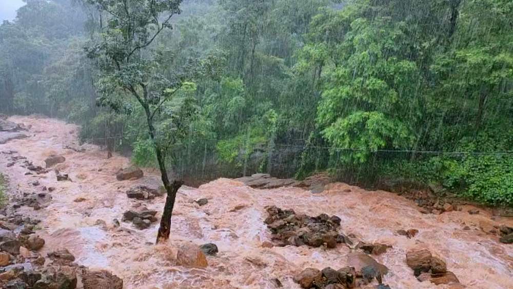 ഉരുൾപൊട്ടലിൽ ഏലത്തോട്ടം ഒലിച്ചു പോയി, കർഷകൻ ഹൃദയാഘാതം മൂലം മരിച്ചു