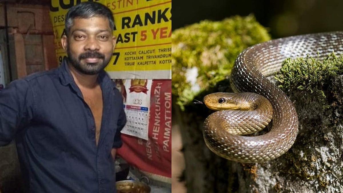ചേരയെ കൊന്ന് കറിവെച്ചു, മദ്യം വാങ്ങിത്തന്നാല്‍ പെരുമ്പാമ്പിന്റെ ഇറച്ചി നല്‍കാമെന്ന് വാഗ്ദാനം: അറസ്റ്റ് 