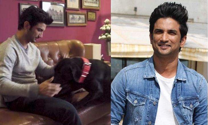 'സുശാന്തിന്റെ കഴുത്തിൽ കണ്ട അടയാളം എന്തെന്ന് എനിക്കറിയാം', വെളുപ്പെടുത്തലുമായി മുൻ സഹായി