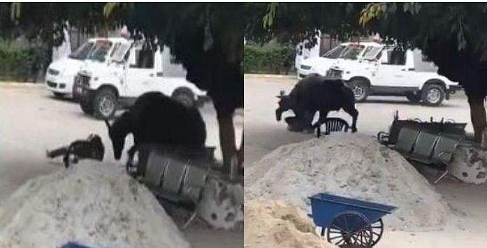 ബൈക്കിലെത്തിയ പൊലീസുകാരനെ ഇടിച്ചു താഴെയിട്ടു, ഏറെ ദൂരം വലിച്ചിഴച്ചു ; പരാക്രമം സ്‌റ്റേഷന്റെ മുറ്റത്ത്  ( വീഡിയോ) 