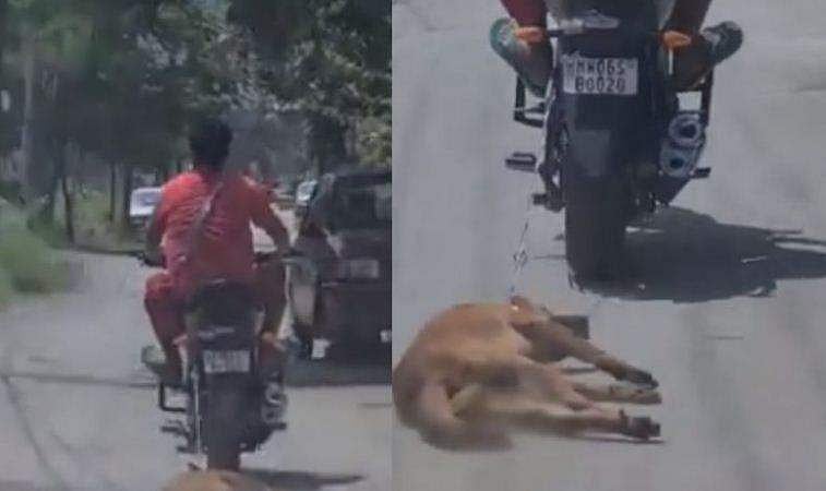 2 കിലോമീറ്റര്‍ ബൈക്കില്‍ കെട്ടി പട്ടിയെ നിഷ്‌കരുണം വലിച്ചിഴച്ച് 47കാരന്‍; ഇറച്ചി 6000 രൂപയ്ക്ക് വിറ്റു; വീഡിയോ വൈറല്‍; അറസ്റ്റ്