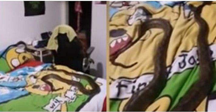 കുഞ്ഞിന്റെ മുറിയിലെത്തിയ അമ്മ ഞെട്ടി ; കിടക്കയിലെ ബ്ലാങ്കറ്റില്‍ കൂറ്റന്‍ പെരുമ്പാമ്പ് ( വീഡിയോ)