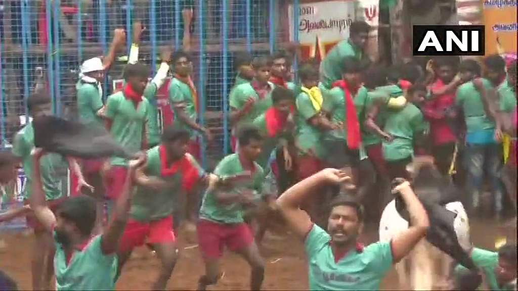 ജല്ലിക്കെട്ട് വേദിയിലും കർഷക നിയമത്തിനെതിരെ പ്രതിഷേധം; കരിങ്കൊടി കാണിച്ച് മുദ്രാവാക്യം; രണ്ട് പേർ അറസ്റ്റിൽ