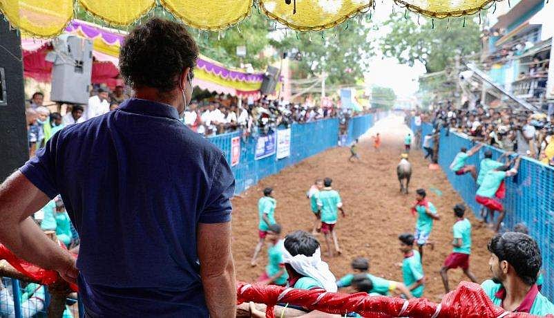 ജല്ലിക്കെട്ട് കാണാന്‍ രാഹുലെത്തി ; ആവേശം ( വീഡിയോ)