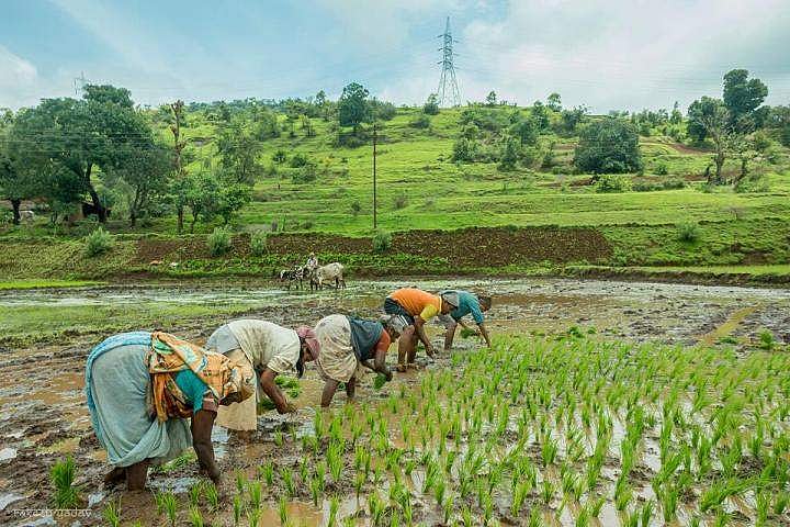 പ്രധാനമന്ത്രിയുടെ ധനസഹായം : സംസ്ഥാനത്ത് 15,163 അനര്ഹര് പണം കൈപ്പറ്റി ; നടപടിക്ക് കൃഷിവകുപ്പ്