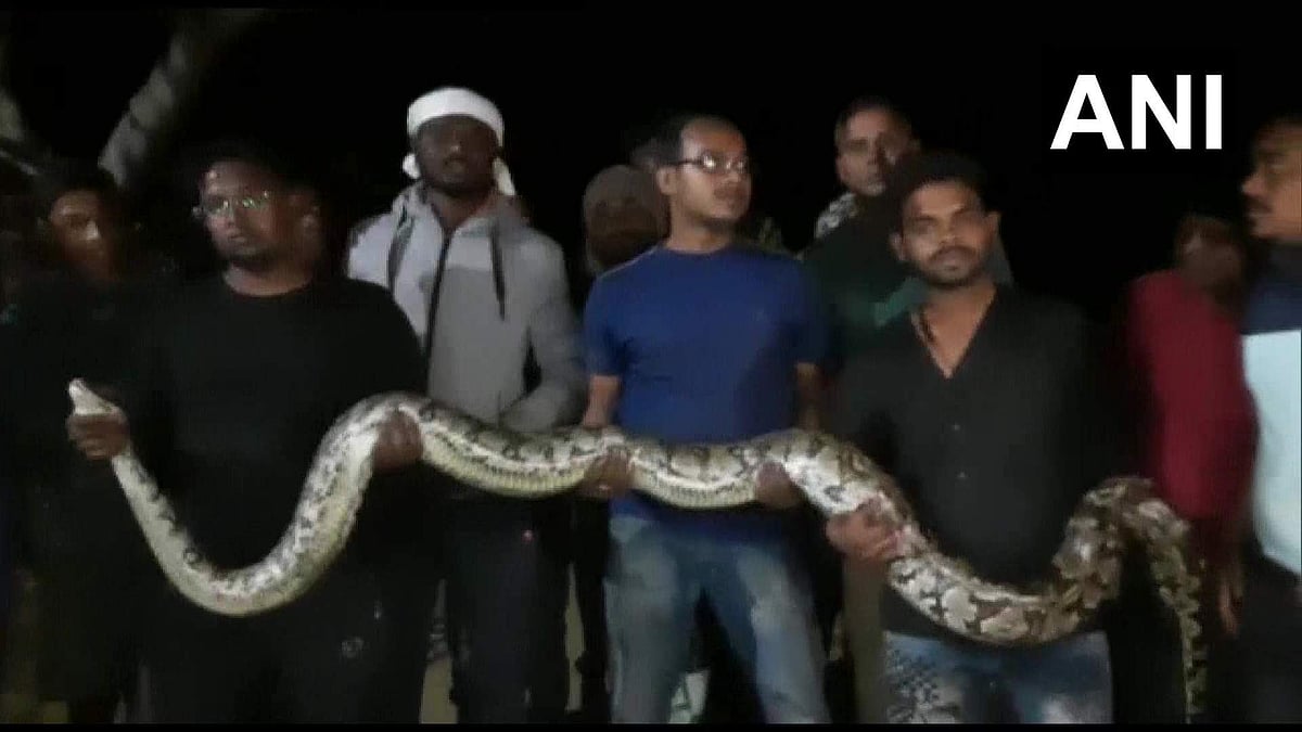 ജെസിബിക്കുള്ളില് കുടുങ്ങി രണ്ട് കൂറ്റന് പെരുമ്പാമ്പുകള്; നാല് മണിക്കൂര് നീണ്ട പരിശ്രമം; ഒടുവില് രക്ഷപ്പെടല്