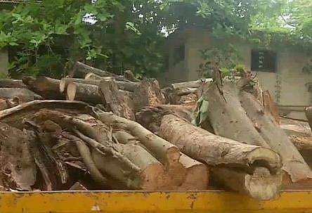 ക്യാമ്പസിലെ മരം മുറിച്ചുകടത്തി; വിദ്യാര്‍ഥികള്‍ ലോറി തടഞ്ഞു; മഹാരാജാസില്‍ പ്രതിഷേധം